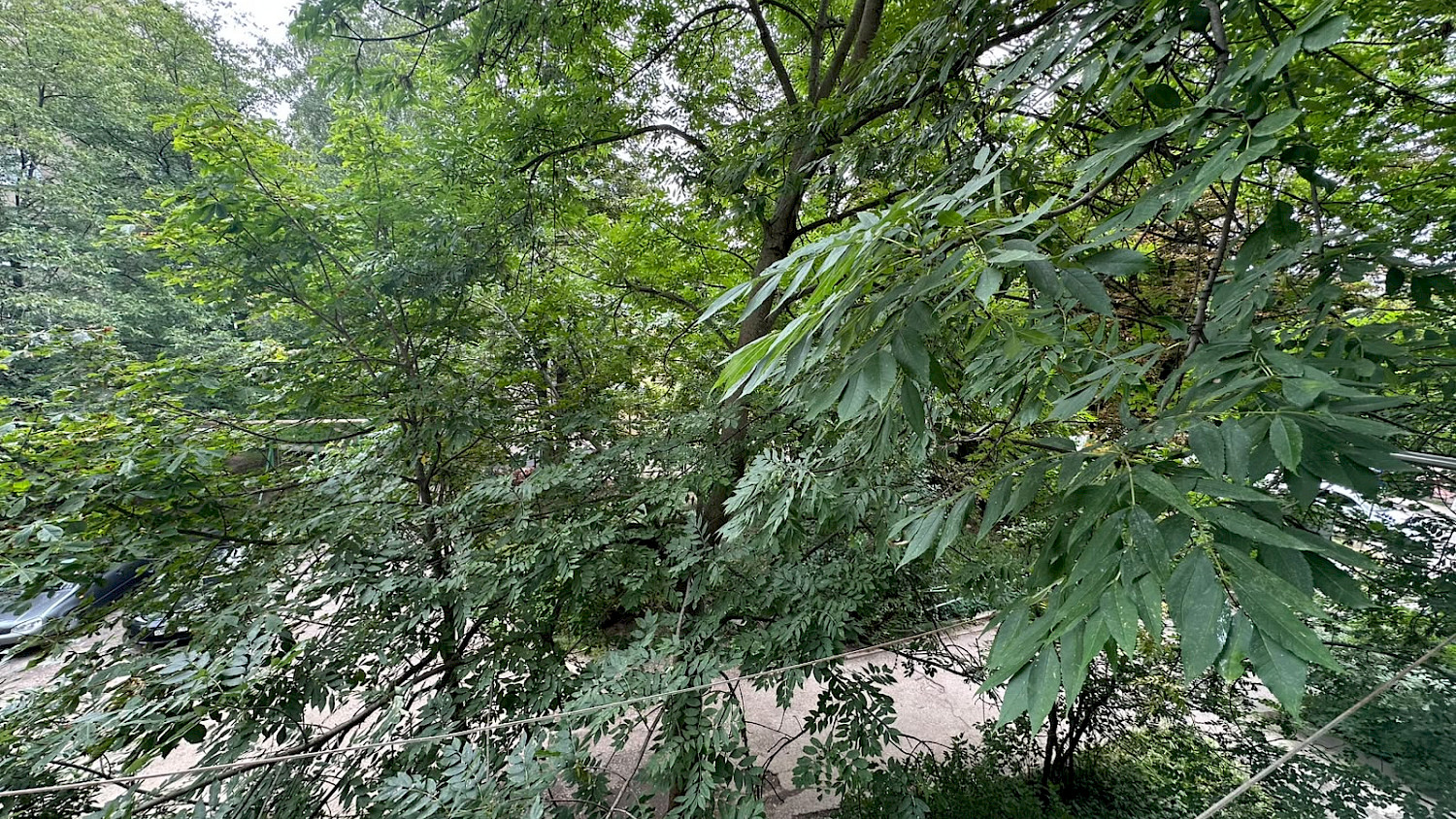 Ставропольский край, Пятигорск, пр-т Калинина, 17к1